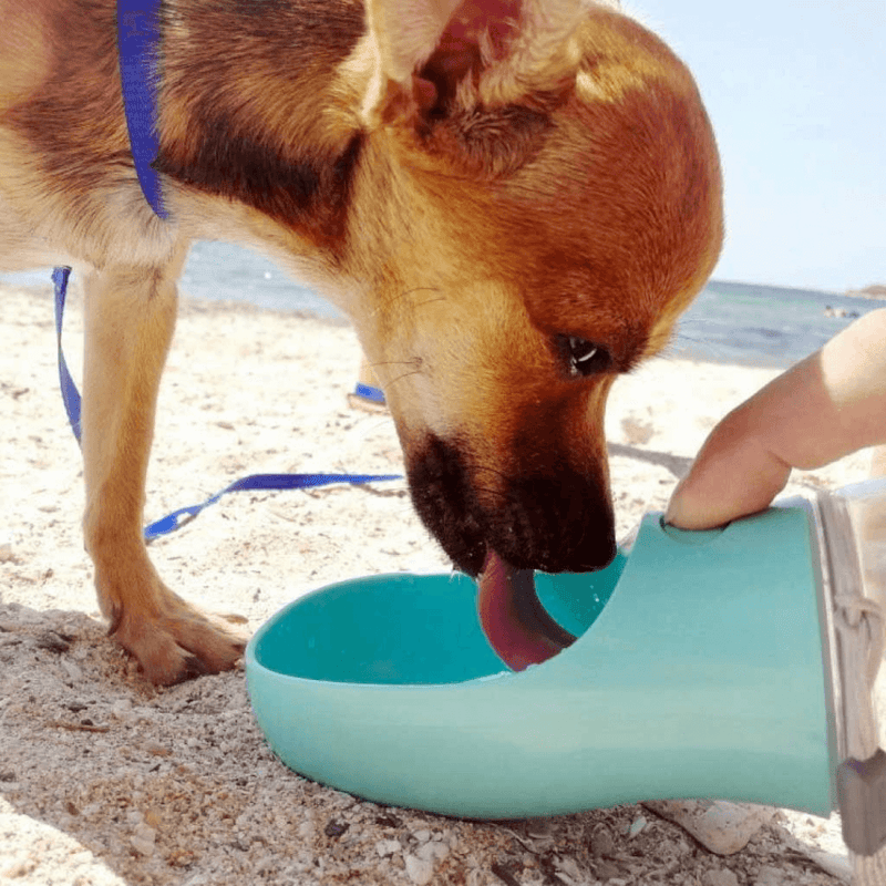 Garrafa de Água para Cães e Gatos - Água Pet - Benedetti Outlet