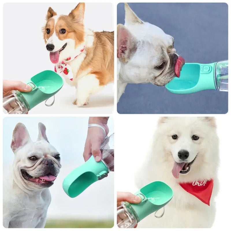 Garrafa de Água para Cães e Gatos - Água Pet - Benedetti Outlet