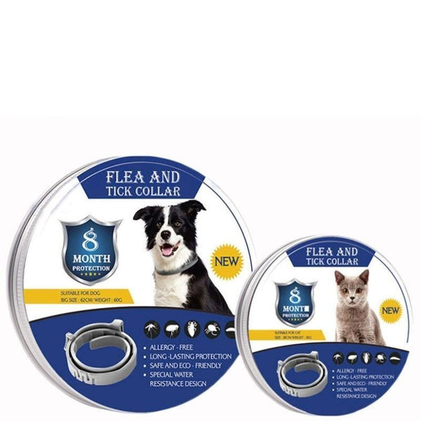 Coleira Anti Pulgas Proteção Dog - Benedetti Outlet